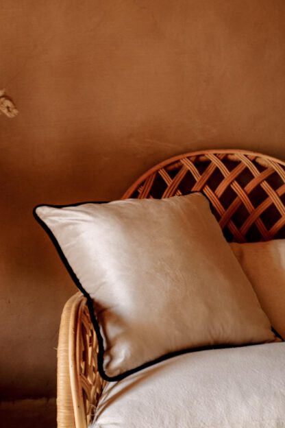 Ecru Velvet Pillow - Bilde 2