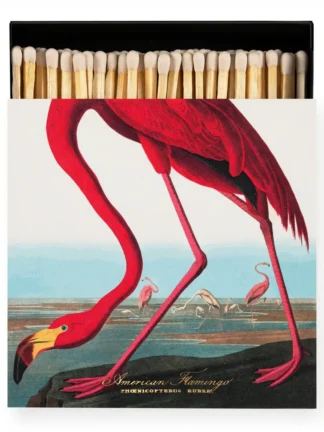 The American Flamingo | Fyrstikker