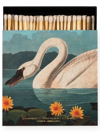 The Common American Swan | Fyrstikker